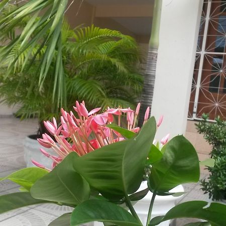 Each Hostel Da Amazonia Nin Ngoại thất bức ảnh