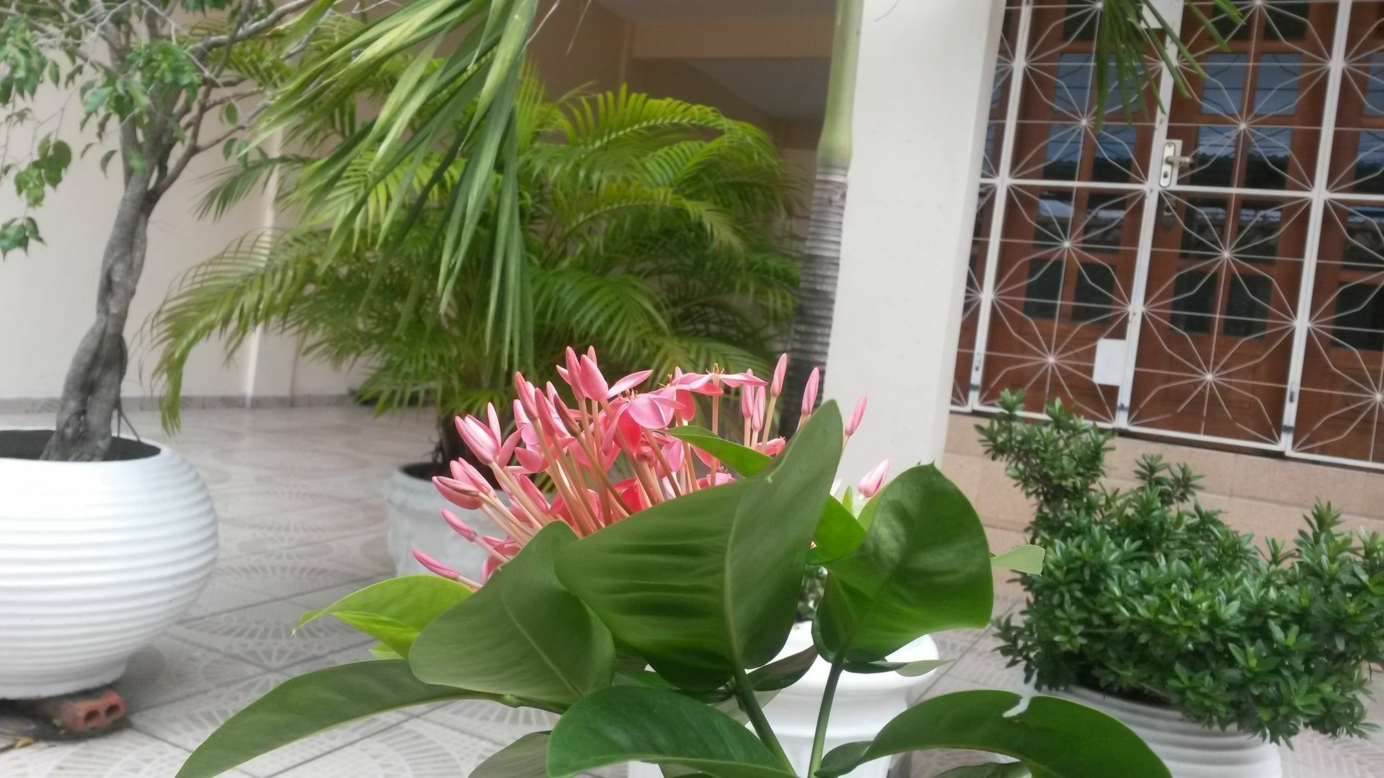 Each Hostel Da Amazonia Nin Ngoại thất bức ảnh