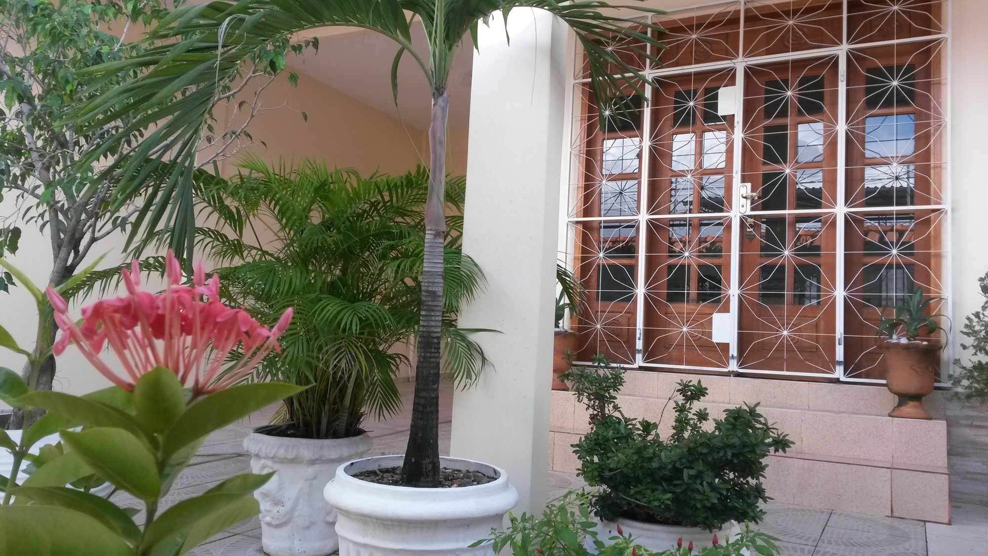 Each Hostel Da Amazonia Nin Ngoại thất bức ảnh